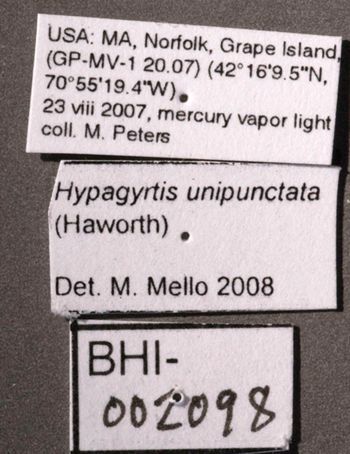 Media type: image;   Entomology 622254 Aspect: labels